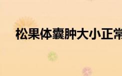 松果体囊肿大小正常范围（松果体囊肿）