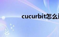 cucurbit怎么读（cucurbit）