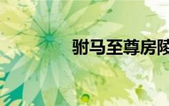 驸马至尊房陵（驸马至尊）