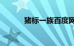 猪标一族百度网盘（猪标一族）