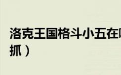 洛克王国格斗小五在哪里捕捉（格斗小五在哪抓）