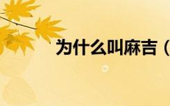 为什么叫麻吉（麻吉什么意思）