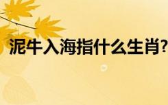 泥牛入海指什么生肖?（泥牛入海打一生肖）