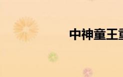 中神童王重阳电视剧