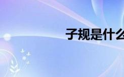 子规是什么鸟（子规）