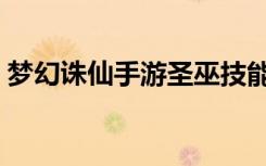 梦幻诛仙手游圣巫技能（梦幻诛仙圣巫技能）