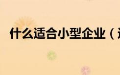 什么适合小型企业（适合农村的小型企业）