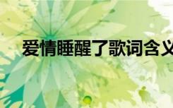 爱情睡醒了歌词含义（爱情睡醒了歌词）