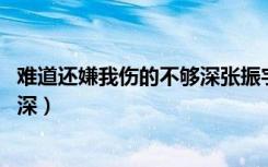 难道还嫌我伤的不够深张振宇 百度云（难道还嫌我伤的不够深）