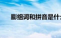膨组词和拼音是什么（膨组词和拼音）
