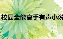 校园全能高手有声小说万里617集小说是几级