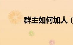 群主如何加人（群主怎么加人）