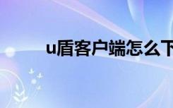 u盾客户端怎么下载（u盾客户端）