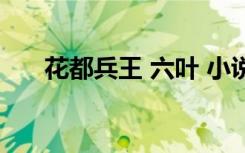 花都兵王 六叶 小说（花都兵王 六叶）