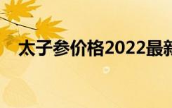 太子参价格2022最新价格（太子参价格）