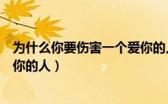 为什么你要伤害一个爱你的人文案（为什么你要伤害一个爱你的人）