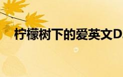 柠檬树下的爱英文DJ版（柠檬树下的爱）