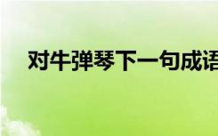 对牛弹琴下一句成语（对牛弹琴下一句）