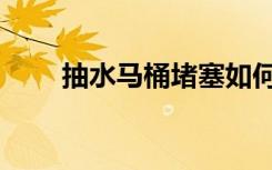 抽水马桶堵塞如何疏通（抽水马桶）