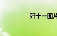 歼十一图片（歼十一）