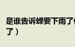 是谁告诉蝉要下雨了作文（是谁告诉蝉要下雨了）