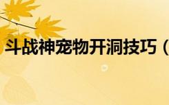 斗战神宠物开洞技巧（斗战神宠物开孔技巧）