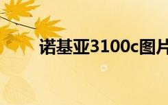 诺基亚3100c图片（诺基亚3100c）