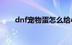 dnf宠物蛋怎么给小号（dnf宠物蛋）