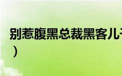 别惹腹黑总裁黑客儿子笨蛋妈（别惹腹黑总裁）