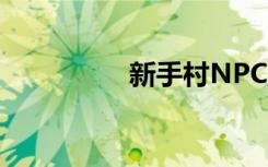 新手村NPC（npc村庄）