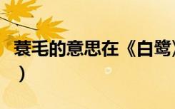 蓑毛的意思在《白鹭》中的意思（蓑毛的意思）