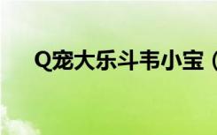 Q宠大乐斗韦小宝（q宠大乐斗韦一笑）