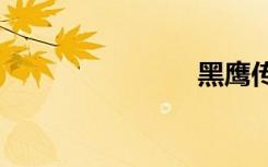 黑鹰传奇txt