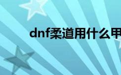 dnf柔道用什么甲（柔道穿什么甲）