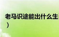 老马识途能出什么生肖（老马识途是什么生肖）
