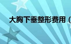 大胸下垂整形费用（胸部下垂整形价格）