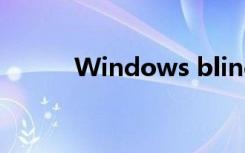 Windows blinds无法更换主题