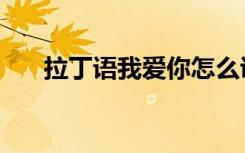 拉丁语我爱你怎么说（拉丁语我爱你）
