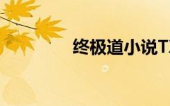 终极道小说TXT（终极道）