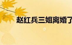 赵红兵三姐离婚了吗（赵红兵三姐）