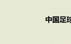 中国足球内幕txt