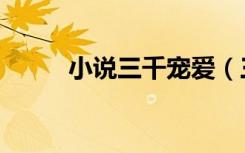 小说三千宠爱（三千男宠三千乱）