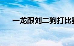 一龙跟刘二狗打比赛（刘二狗pk一龙）