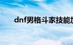dnf男格斗家技能加点（男格斗加点）