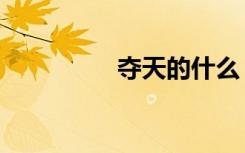 夺天的什么（夺天完美）