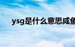 ysg是什么意思咸鱼（ysg是什么意思）