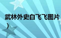 武林外史白飞飞图片（武林外史之我是白飞飞）