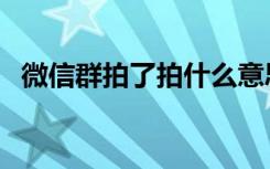 微信群拍了拍什么意思（拍了拍什么意思）
