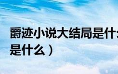 爵迹小说大结局是什么意思（爵迹小说大结局是什么）