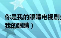 你是我的眼睛电视剧全集免费观看沈腾（你是我的眼睛）